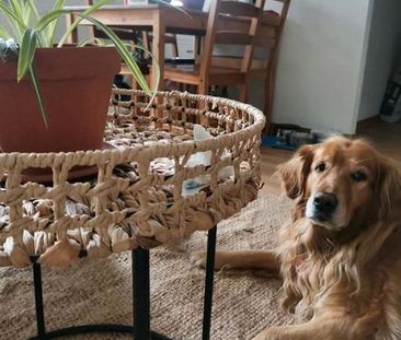 Schöne 1,5 Zimmer Wohung zur Miete / Marzahn - Photo 1