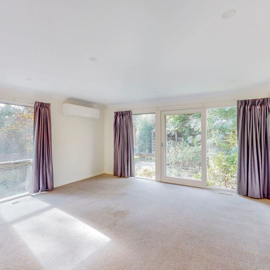 Sure to impress! - Photo 1