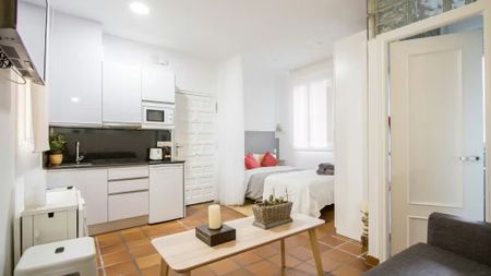 Calle de los Cabestreros, Madrid, Community of Madrid 28012 - Photo 3