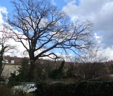 Coole U3 Anbindung, nur 5 Min.mentfernt, Genießen Sie die Ruhe in I... - Foto 3