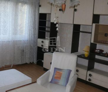 Kiadó jó állapotú panel lakás - Kecskemét - Fotó 6