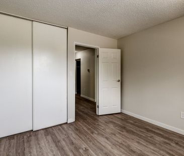 Renovated Suite - 1 Bedroom - Photo 6