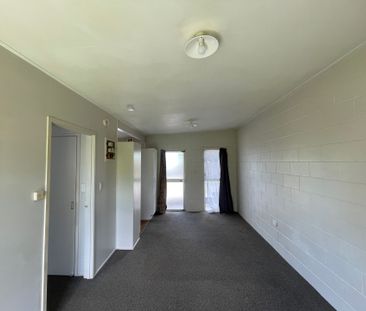 Renovated 1 Bedroom Unit - Photo 3