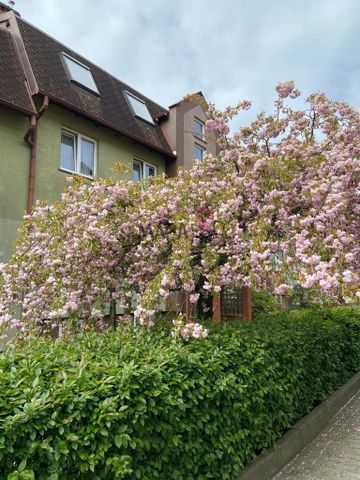 DUŻA KAWALERKA NA WYNAJEM NA WARSZEWIE - Zdjęcie 3