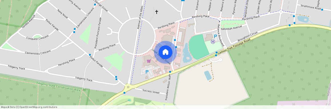 41 Lloyd George Grove, Tanilba Bay, NSW 2319