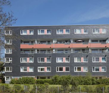 4- Zimmer Wohnung in Steinkuhl mit WBS - Photo 1