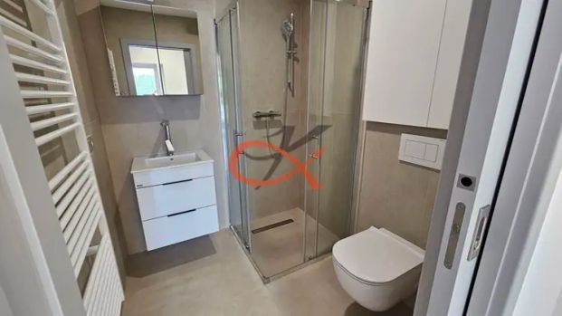 Pronájem nízkoenergetického bytu 1+kk s terasou a parkovacím stáním – Šenov u Nového Jičína, AP 1 - Photo 1