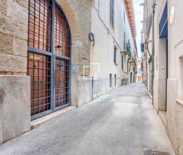 Palma de Mallorca, Balearic Islands 07001 - Photo 6
