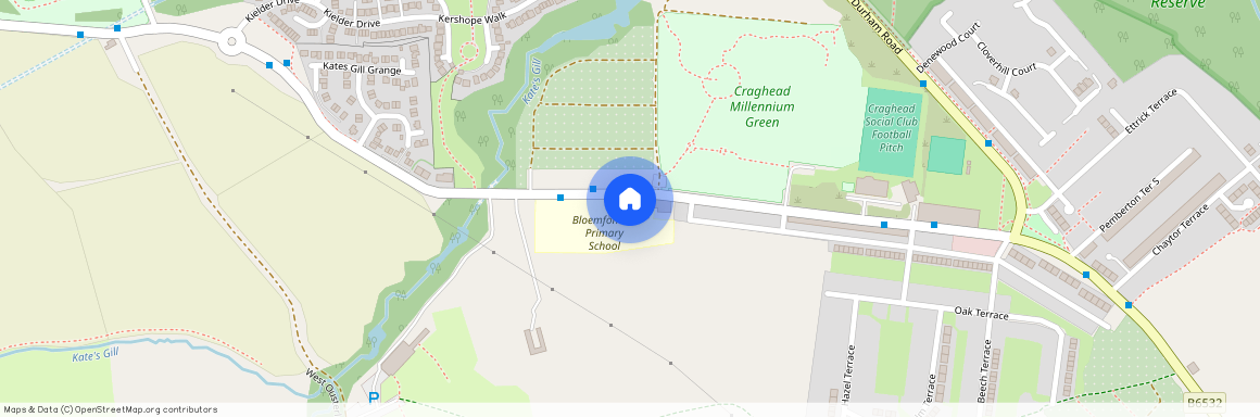 Ousterley Woods, Stanley, County Durham, DH9