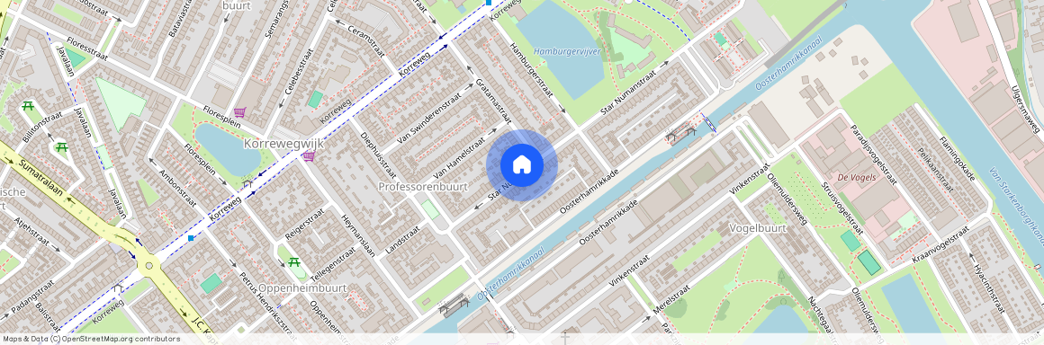 Professorenbuurt, 9714 JR, Star Numanstraat, Groningen