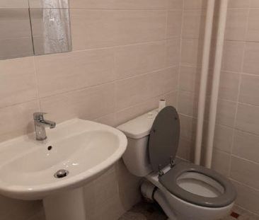 Location Appartement 1 pièce 32m² ANNEMASSE 74100 - Photo 4