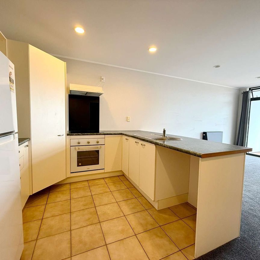 1 Bedroom Apartment in the heart of Albany - Photo 1