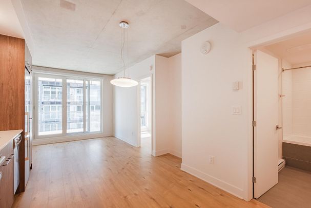 Square William - Photo 1