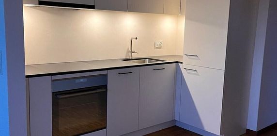First rental in the heart of Lyss - Photo 2