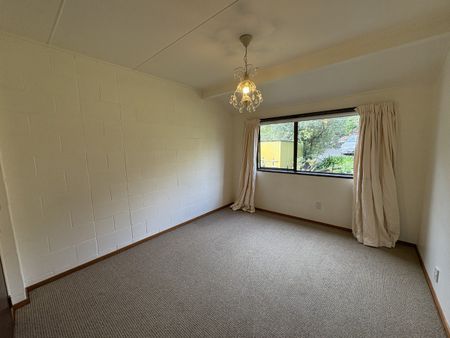 Spacious Family Home - Prime Havelock North Location - Photo 4