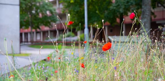Torstensonsgatan, Borås - Foto 2
