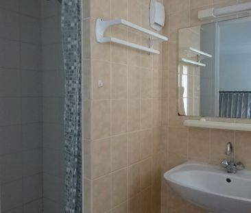 Location Appartement 1 pièce 29m² - Photo 4