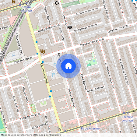 111 Boston Avenue Unit# Lower, Toronto