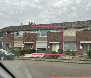 Maison Namenstraat 54, Breda Noord - À louer - Photo 2