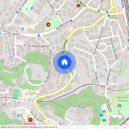 via Sorengo 25, 6900 Lugano