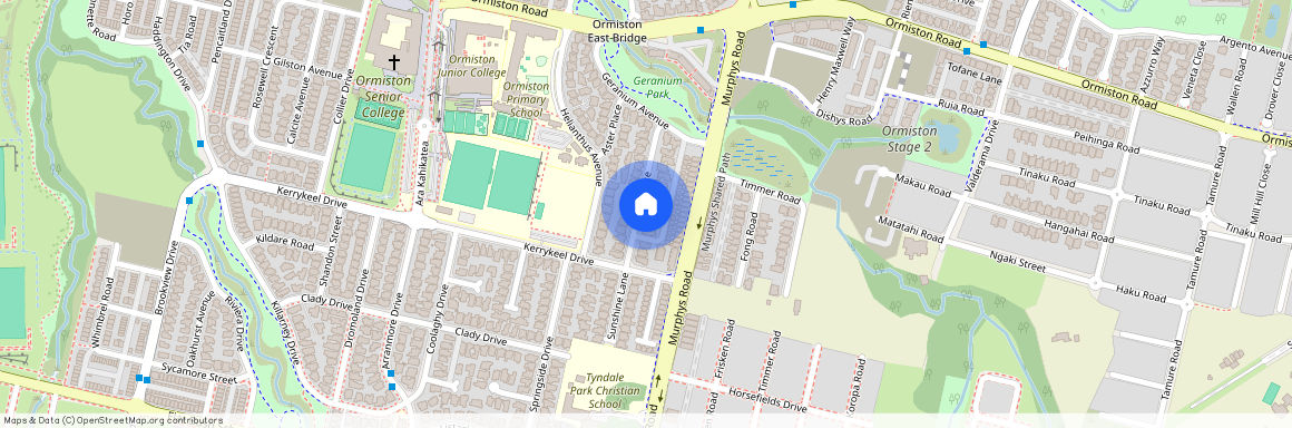 20 Rohi Place, Flat Bush, Manukau City