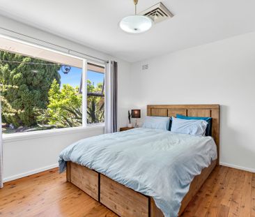 17 Tralee Avenue, Killarney Heights NSW 2087 - House For Rent | Domain - Photo 3