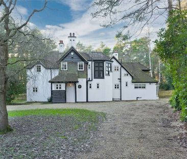 A beautiful family home adjacent to mature woodlands in Ascot - Photo 3