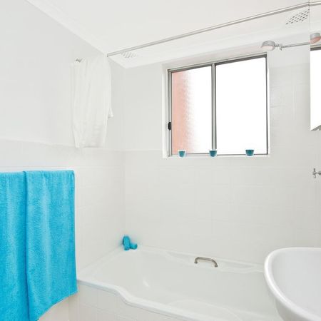 INNER WEST LIVING AT ITS BEST! - Photo 4