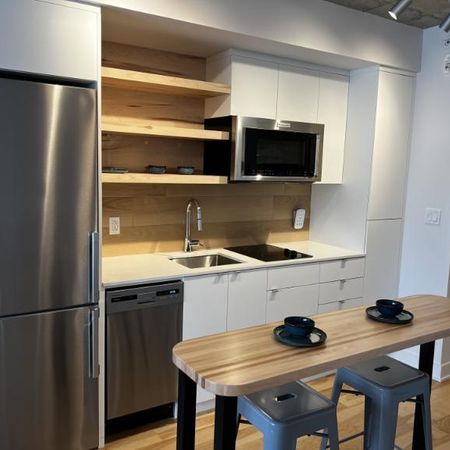 1 1/2 - Montréal - 1 490 $/mois - Photo 3