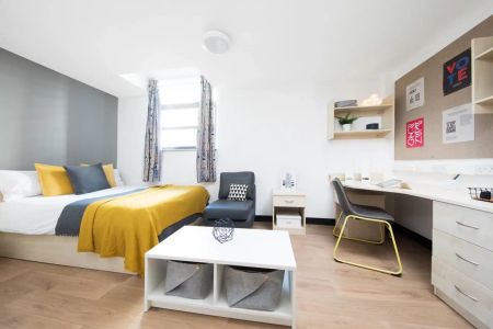 Large Standard Double Studio - Photo 5