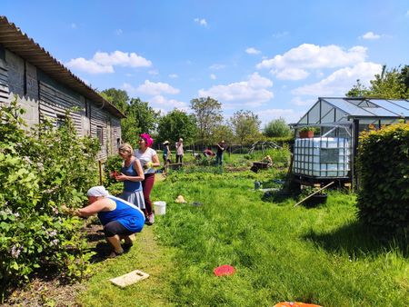 Kamer in De Groene Doening - Foto 5