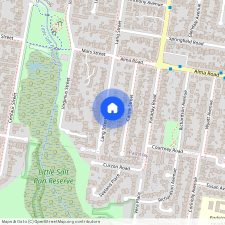 61 Lang St, NSW 2211, Padstow