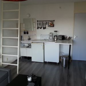 Professor Rogierhof, 6 - Photo 3