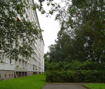 3-Raum-Wohnung - Foto 1