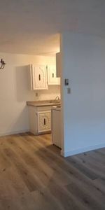 1 bedroom 1 bathroom beautiful cozy apartment for rent Burnaby - Photo 4