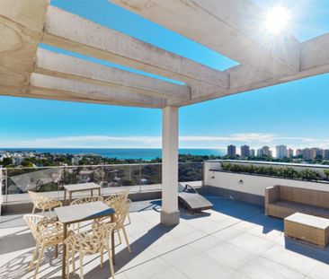 Piso de alquiler en Calle Jacinto Verdaguer, 25, Campoamor - Photo 4