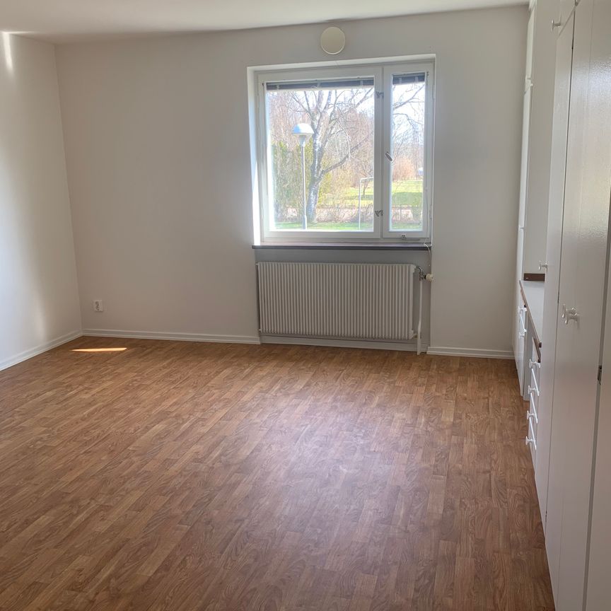 3 ROK - Foto 1