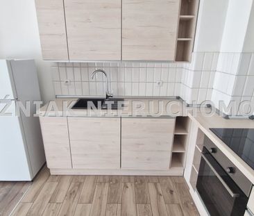 Czarny Bór Mieszkanie na wynajem - Zdjęcie 5