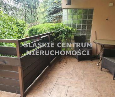 Gołonóg, Storczyków, Dąbrowa Górnicza - Photo 3