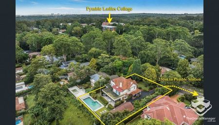 Spacious Federation Gem - Walk to PLC and Pymble Station - Photo 4