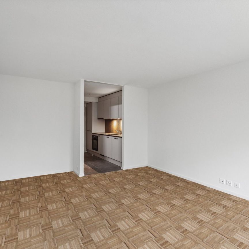 Magnifique appartement 1 pièce rénové CAUTION GRATUITE - Foto 1