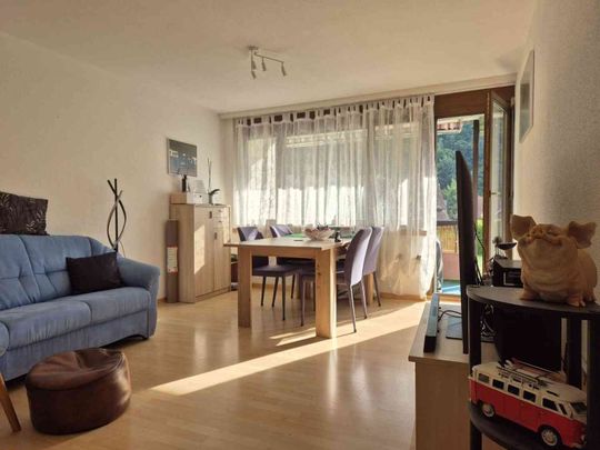 2.5 Zimmer, 44 m², 1. Stock - Photo 1