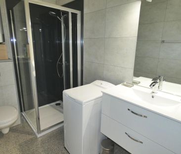 Location Appartement T1 26m² Aix Les Bains - Photo 4