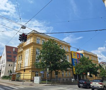 Ausgesprochen schöne, unbefristete und WG-taugliche Altbauwohnung m... - Photo 4