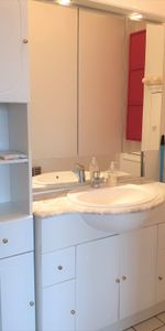 Location Appartement 1 pièce 19m² PONTAULT COMBAULT 77340 - Photo 3