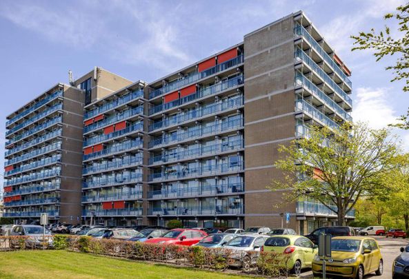 Appartement Lambertus Huisengastraat 31, Purmerend - À Louer - Photo 1