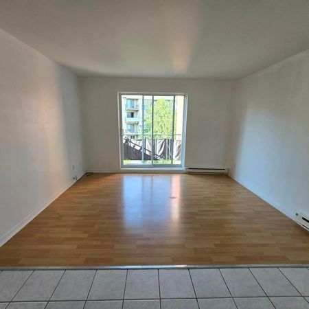 BEAU 4 1/2 LIBRE AU 1ER OCTOBRE DELSON RIVE SUD - Photo 4