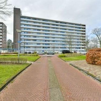 Honthorstlaan, 1816 TG Alkmaar, Nederland - Foto 4