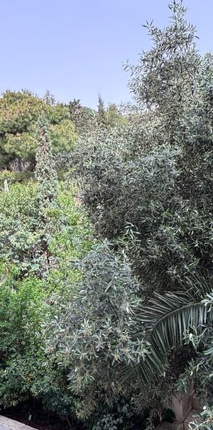Διαμέρισμα για ενοικίαση Λυκαβηττός (Κολωνάκι - Λυκαβηττός) - Photo 1