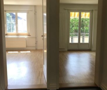 3 Zimmer, 54 m², EG - Foto 1